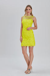 Lace Dress